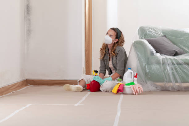 Reliable Mold Remediation contractor in Minnetonka, MN by WQB Mold Removal
